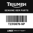 Rad Panel, LH, GT, Satin White (T2310679-NP) barcode