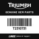 Seat Infill Mldg, LH (T2310731) barcode