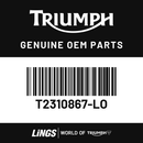 Fairing, Outer, LH, Satin Granite (T2310867-LO) barcode