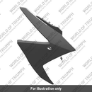 Fairing, Outer, RH, Carnival Red (T2310868-CU)