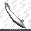 Rear Bodywork, RH, Ash Grey (T2310934-LM)