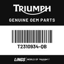 Bodywork, RHR, Satin Jet Black (T2310934-QB) barcode
