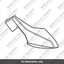 Side Panel, RHS, Silver Ice (T2310951-MP)