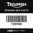 Decal, Sidepanel, RH (T2311181) barcode