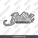 Decal, Side Panel, Aluminium Silver (T2311563)