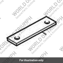 Mount Plate (T2311649)