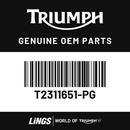 Sidepanel, Lower, LH, Jet Black (T2311651-PG) barcode