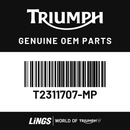 Front Mudguard, Silver Ice (T2311707-MP) barcode