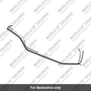 Beak Support (T2312004)