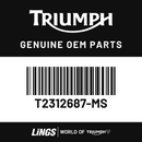 Flyscreen, Matt Aluminium (T2312687-MS) barcode