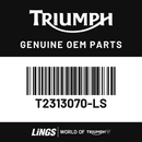 Rad Panel, Pntd, RH, Matt Graphite (T2313070-LS) barcode