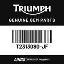Tank Panel, Pntd, RH, Expl, Lucerne Blue (T2313080-JF) barcode