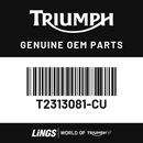 Tank Panel, Pntd, LH, Expl, Carnival Red (T2313081-CU) barcode