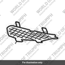 Vent, Lower, Mldg, RH (T2313092)