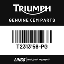 Sidepanel, RH, Jet Black (T2313156-PG) barcode