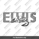 Decal, Sidepanel, Aurum Gold/Aluminium Slv (T2313248)