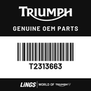 Cover, Airbox, LH, Mldg (T2313663) barcode