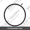 Decal, Front Mudguard (T2314035)