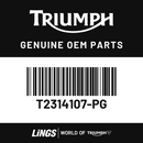 Sidepanel, LH (T2314107-PG) barcode