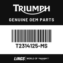Rear Bodywork, LH, Matt Al Slv/Matt Phan Blk (T2314125-MS) barcode