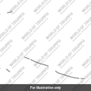 Decal, Stripe, Fuel Tank (T2315062)