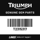 Decal, Lower M/Guard, RH, Intense Orange (T2315317) barcode