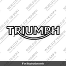 Decal, Wordmark, Matt Silver (T2315753)