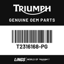 Sidepanel, RH (T2316168-PG) barcode