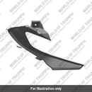 Surround, Headlight RH, Mldg (T2316270)