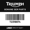 Decal, Side Panel, Gold (T2316974) barcode