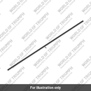 Decal, Fuel Tank (T2318525)