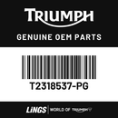 Side Panel Assy, Jet Black (T2318537-PG) barcode