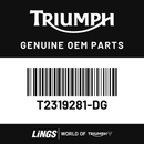 Seat Panel Assembly, LHS, Korosi Red (T2319281-DG) barcode