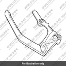 Grab Handle, RH (T2350342)