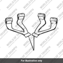 Strap (T2350469)