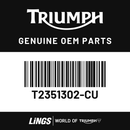 Pannier Infill, LH, Carnival Red (T2351302-CU) barcode