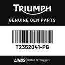 Pannier Lid, Painted, LH (T2352041-PG) barcode