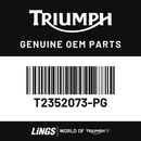 Pannier Base, Painted, LH (T2352073-PG) barcode