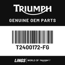 Fuel Tank Assy (T2400172-FG) barcode