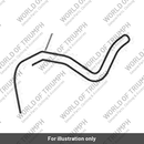Hose, Formed, Tank Vent, Upper (T2400411)