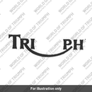 DECAL, FUEL TANK (T2400542)