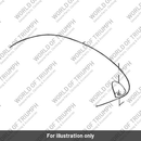 Fuel tank (T2400594-HG)