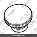 Fuel Filler Cap, Screw Type (T2400597)