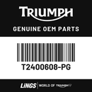 Fuel Tank Assembly (T2400608-PG) barcode