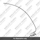 Fuel tank (T2400619-MH)