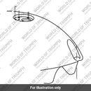 Fuel tank (T2400702-PG)