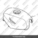 Fuel tank (T2401295-PC)