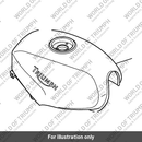 Fuel tank (T2401301-HA)
