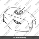 Fuel tank (T2401304-CP)
