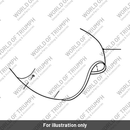 Fuel tank (T2401406-JK)